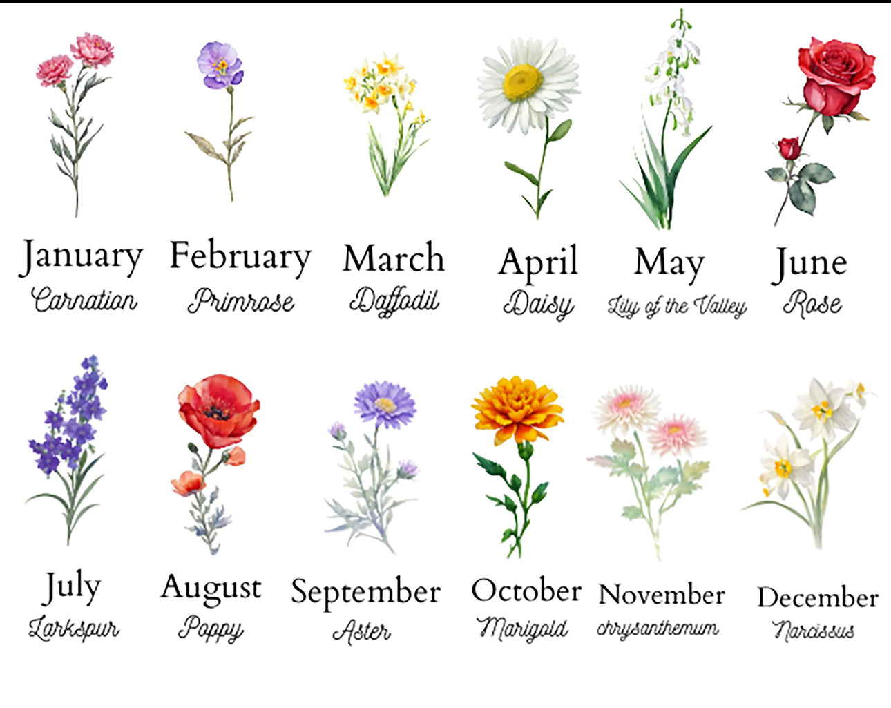 Birth Month Flowers - Color