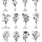 Birth Month Flowers - Black