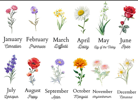 Birth Month Flowers - Color
